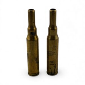 308 U.S. Bottle nose blanks. 100 rounds loose.