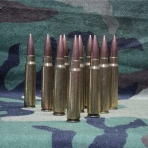 7.65 Argentine brass case dummy rds. 10 round pack 7.65 Argentine cdvs.us