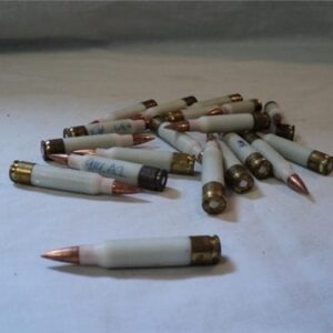 223 experimental ammo. 100 rds 223 / 5.56x45 cdvs.us