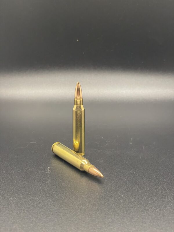 PMC .223 REMINGTON RIFLE AMMO - 55 GRAIN FMJ-BT 1,000 RD. CASE - Image 3