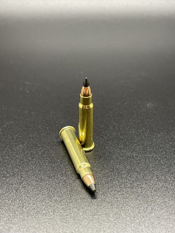 Varmint & Predator Hornady V-Max 17 HMR. - Image 2