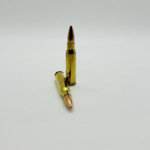 308 Dummy Rounds. 100 Round Bag 308 www.cdvs.us