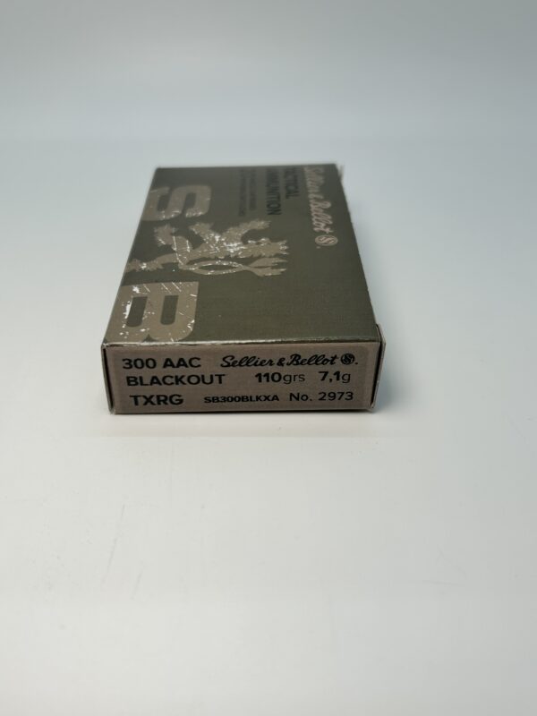 300 ACC BLACOUT WITH 110 GRAIN TXRG PROJECTILE.