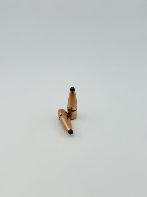 .308 Dia. 150 Grain Soft Point Projectiles. 500