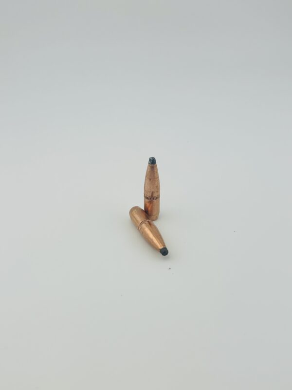 .257 117 Grain Soft Point Projectiles. 100 Pack